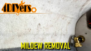 how to clean mildew stains from carpet
