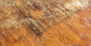 dustless hardwood floor refinishing