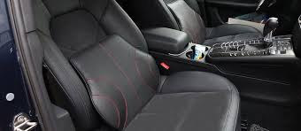 Best Lumbar Support For Cars In 2022