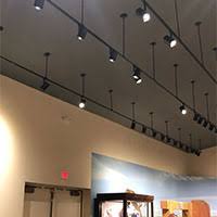 Shop Suspended Track Lighting For High Ceilings Flat Ceilings Direct Lighting Com