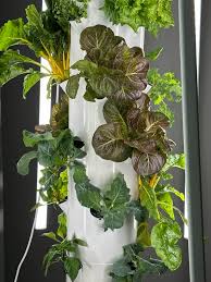 growing groceries indoors with tower