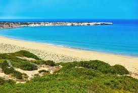 Σχολή οικονομικών επιστημών και διοίκησης. 12 Best Beaches In Cyprus Planetware