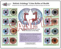 10 Pcs Iris Diagnosis Chart Iriscope Iridology Camera