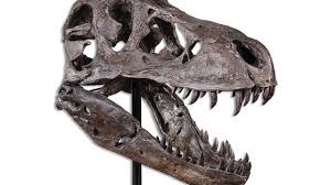 tyrannosaurus rex skull sculpture