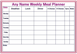 Personalised A4 Weekly Reusable Diet Weight Loss Chart Planner Slimming World