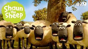 Cứu cây khỏi đốn - Những Chú Cừu Thông Minh - YouTube
