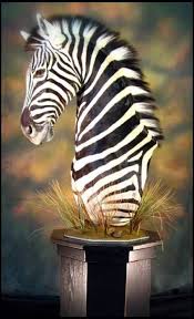 Zebra Pedestal Mount Yahoo Image