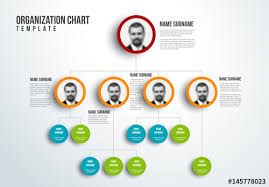 Organizational Chart Layout Template Buy This Stock