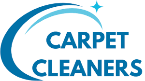 professional carpet cleaners call 079