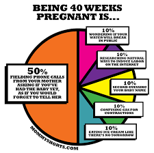 40 Weeks Pregnant The Pie Chart