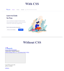 css introduction with exles