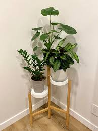 Bought A New Plant Stand From Ikea For