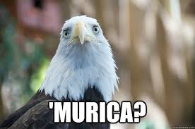 Murica? - Sad Eagle - quickmeme via Relatably.com