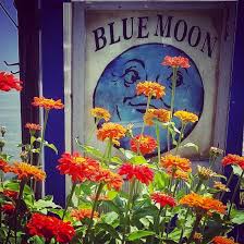 About Us Blue Moon Farm