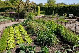 how to make a permaculture garden