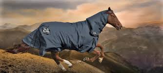 your horse rugs mud rugs