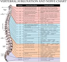 The Spinal Chart Natural Health Chiropractic Micham