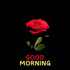 good morning images wallpaper for whatsapp