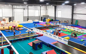 all american gymnastics academy unveils