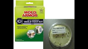 diy home mold test kit review you
