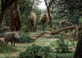 Ardipithecus ramidus landscape - Stock Image - C015/5359 - Science Photo  Library