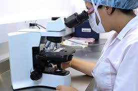 Image result for microscope lab