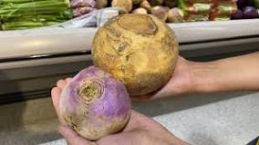 Which tastes better turnip or rutabaga?