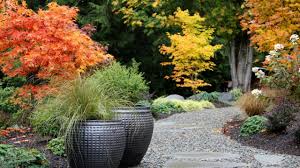Japanese maple shishigashira, commonly called the lion's head maple, is very popular and japanese maple shishigashira makes a great container plant. Garden Design Japanese Maple Garden Design Ideas Youtube