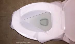Toilet Seat With Toilet Paper