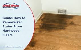 remove pet stains from hardwood floors