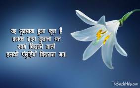 7 फ ल पर स न दर कव त ए poem on