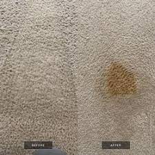 best carpet repair near me september