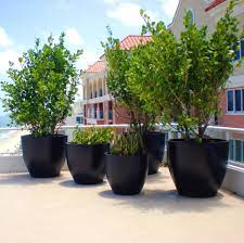 extra large planters for trees