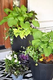 Summer Planter Pot Ideas For Shade