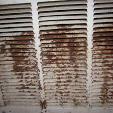 remove rust caused by cat urine