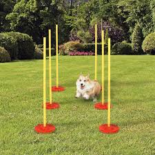 pawhut dog agility training equipment