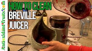 how to clean breville juicer
