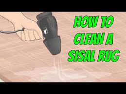 how to remove dog stains and odors