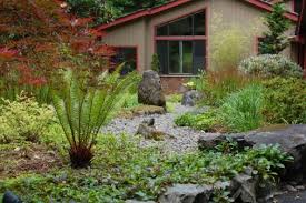 Lawn Alternatives For Portland