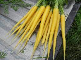 Морковь Карамель сахарная: описание и характеристики сорта, правила посадки и выращивания, отзывы