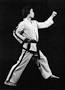 Pattern: Do-San Tul | Intrepid Taekwondo