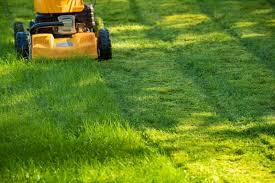 The cost will also vary depending on how often mowing will be done. 2021 Lawn Mowing Price Guide Cost To Mow A Lawn Per Hour Or Acre Angi Angie S List