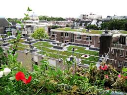 Odu Green Roof Advantages Of A Green Roof