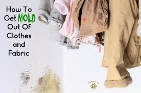 If you use these tips, you have a fighting chance at removing it from your stained garment. How To Get Mold Out Of Clothes And Fabrics Mold Help For You
