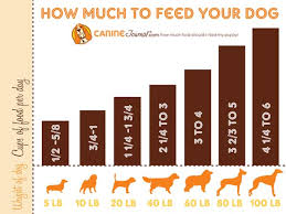 How Much Food Should I Feed My Puppy Caninejournal Com