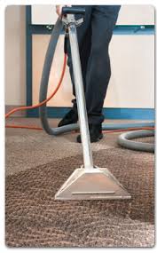 carpet cleaning ples professional