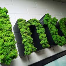 20 Moss Signs To Make You Green With