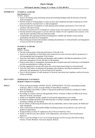 internal auditor resume samples