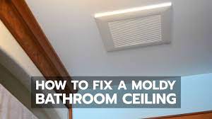 how to fix a moldy bathroom ceiling