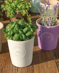 Plant Pot Materials For Your Plants